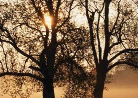 Empoweing Man's kind